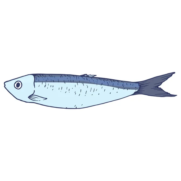 病媒蓝色沙丁鱼 Sprat食物是蓝灰色的 有蓝色的轮廓 侧视图 白色孤立的海鲜作为设计模板 装饰设计用线条艺术素描色沙丁鱼 — 图库矢量图片