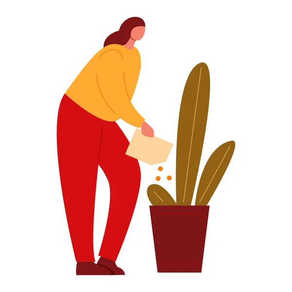 Жінка кладе добрива в горщик з рослиною. Догляд за домашніми квітами. Векторні ілюстрації в плоскому стилі . — стоковий вектор
