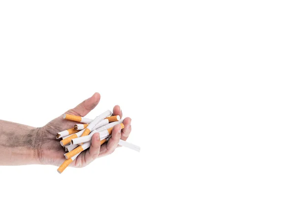 Open hand with ash and full of broken cigarettes with white background. World No Tobacco Day — Stock Photo, Image