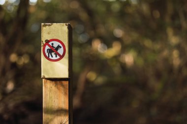 Hayvanlara binmek yasaktır.