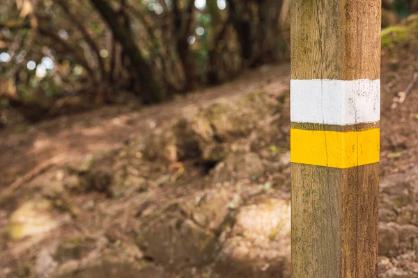 Ormanda küçük bir patikanın sarı ve beyaz işaretleri yakın plan.