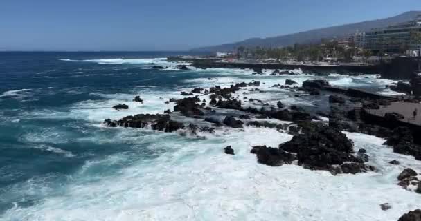 Aerial view of coastline with waves crashing against the rocks — Stock Video