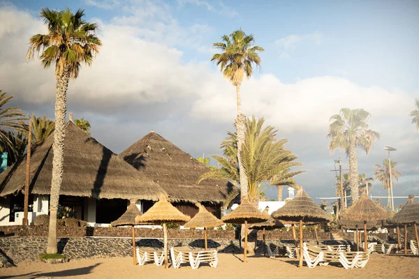 Güneş şezlongları, şemsiyeler ve palmiye ağaçlarıyla dolu bir sahilde sazdan kulübeler.
