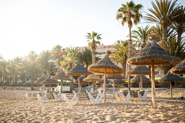 Palmiye ağaçlarının olduğu bir sahilde güneş panjurları ve sazanlı şemsiyeler.