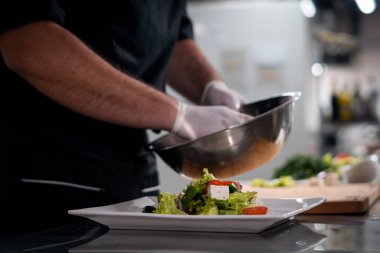 Erkek eli eldivenli taze organik salata, marul, domates ve salatalık.