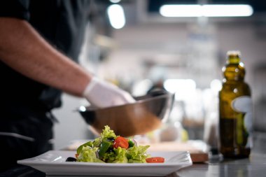 Erkek eli eldivenli taze organik salata, marul, domates ve salatalık.