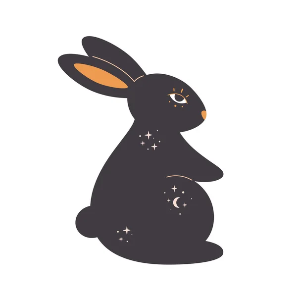 Gizemli, gizemli, sihirbaz unsurları olan bir tavşan. Tavşan Yılı. El çizimi vektör illüstrasyonu — Stok Vektör