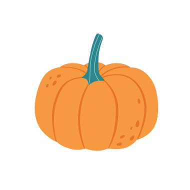 Balkabağı, sebze. Sonbahar hasadı ve çiftçilik. El çizimi vektör illüstrasyonu