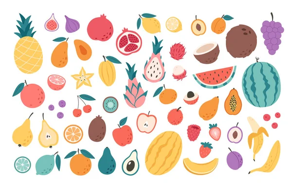 Fruits Berries Exotic Fruits Collection Natural Organic Nutrition Healthy Food — Stock Vector
