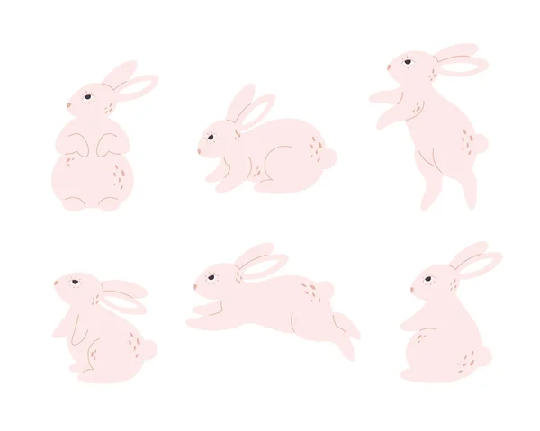Cute White Bunnies Collection Rabbits Characters Different Poses Actions Sitting — Vettoriale Stock