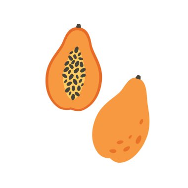 Taze papaya. Egzotik ve tropik meyveler. Sağlıklı yiyecekler, diyet ürünleri, taze vitamin ürünleri. Vektör illüstrasyonu