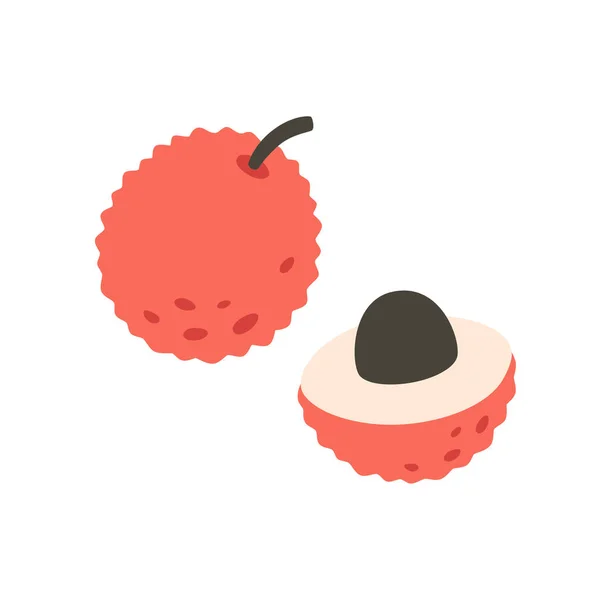 Fresh Lychee Exotic Tropical Fruit Healthy Food Vector Illustration — 스톡 벡터