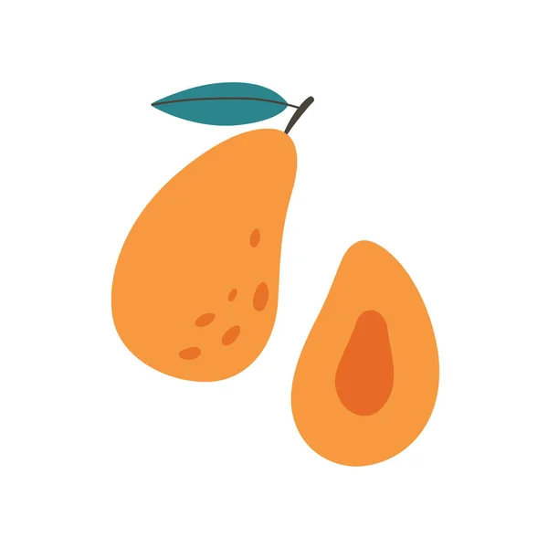 Fresh Mango Exotic Tropical Fruit Healthy Food Vector Illustration — Stockvektor