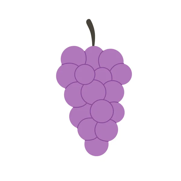 Fresh Grape Bunch Summer Fruit Healthy Food Vector Illustration — Stockvektor