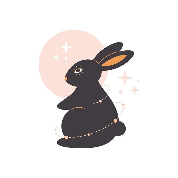 Cute Rabbit Astrology Elements Year Rabbit Vector Illustration — стоковый вектор