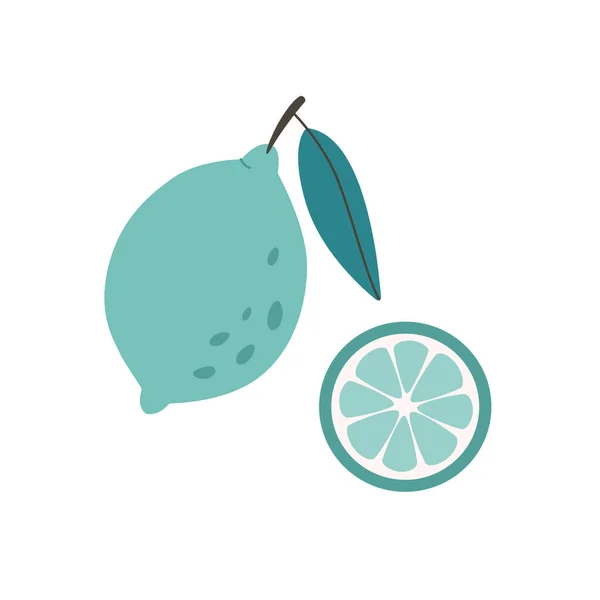 Fresh Lime Lime Slice Citrus Fruit Healthy Organic Food Vector — Stockvektor