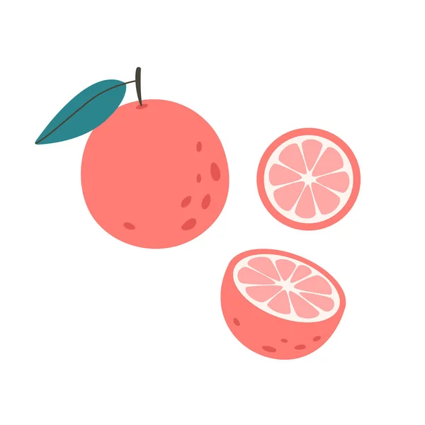 Fresh Grapefruit Slices Citrus Fruit Healthy Food Vector Illustration — Wektor stockowy