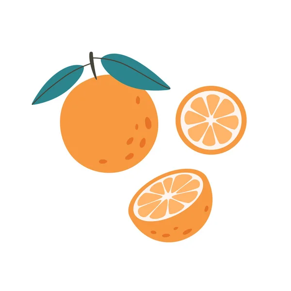 Fresh Orange Fruit Slices Citrus Fruit Healthy Food Vector Illustration — Archivo Imágenes Vectoriales