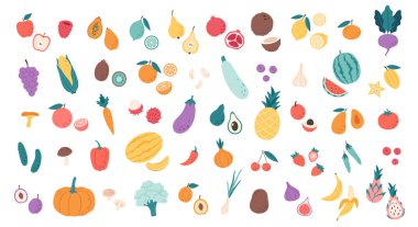 Big set of fruits, vegetables, berries, mushrooms, beans, tropical and exotic fruits. Healthy food, dietetics products, fresh vitamin grocery products. Hand drawn vector illustration