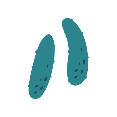 Cucumbers, vegetable. Harvesting, farming. Healthy and organic food. Vector illustration in flat style
