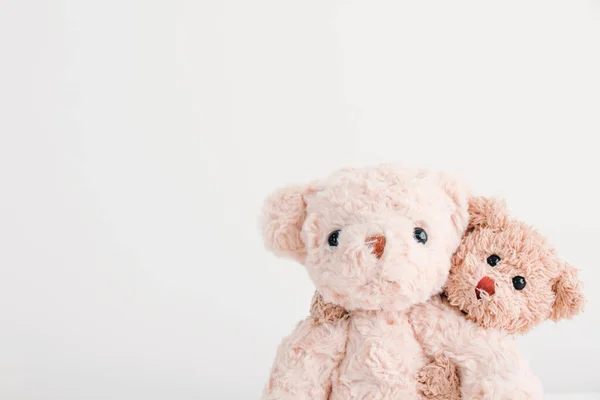 Birbirine aşık iki oyuncak ayı Sevgililer Günü 'nde oyuncak bebekler