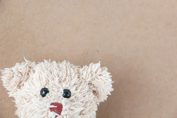 Boneka Beruang Pada Latar Belakang Warna Coklat — Stok Foto