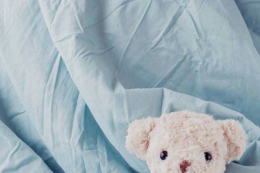 Oyuncak ayıcığım battaniyenin içinde, bebeğim çok tatlı..