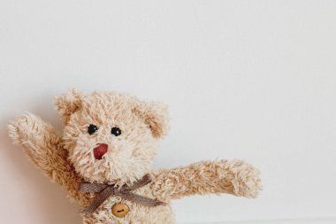 Beyaz arka planda mutlu bir yüzü olan sevimli bir oyuncak ayı.