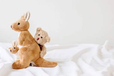 Anne ve çocuk kangurular ve oyuncak ayı