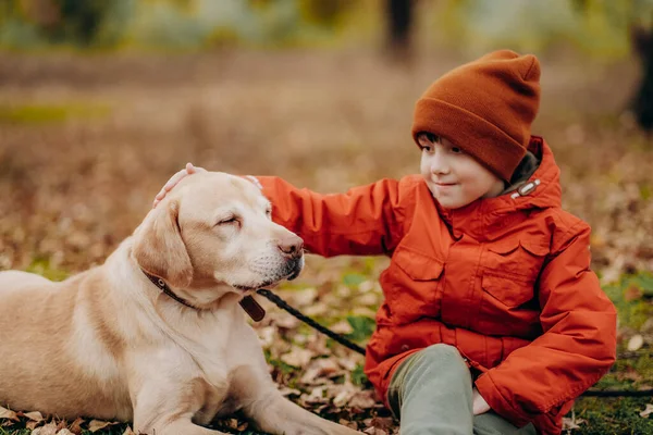 Amitié Enfant Avec Chien Élever Des Enfants Avec Amour Pour — Photo