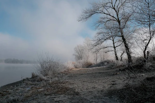 秋の朝の風景 霧の中で湖の上の日の出 冬の初め 木や草の上のイクラ 珍しい自然現象 霜と日の出 — ストック写真