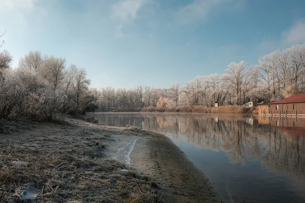 가을 아침 풍경. 호수 위로 안개가 자욱해. 겨울 이 시작되면 나무와 풀 위에 있는 노루. — 스톡 사진