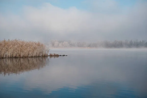 Herbstliche Morgenlandschaft. Sonnenaufgang über dem See im Nebel. Der Beginn des Winters, die Rehe auf den Bäumen und im Gras. — Stockfoto