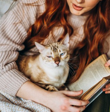 Kedileri severim. Bir kadın evinde bir sandalyede oturuyor ve sevgili Bengal kedisini kollarında tutuyor. Kollarında kedi olan bir kitap okuyor..