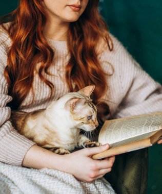 Kedileri severim. Bir kadın evinde bir sandalyede oturuyor ve sevgili Bengal kedisini kollarında tutuyor. Kollarında kedi olan bir kitap okuyor..
