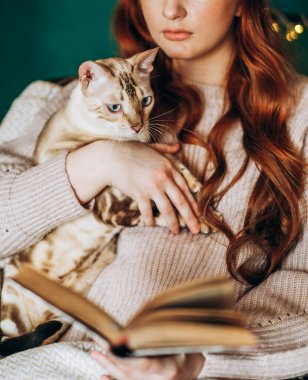 Kedileri severim. Bir kadın evinde bir sandalyede oturuyor ve sevgili Bengal kedisini kollarında tutuyor. Kollarında kedi olan bir kitap okuyor..