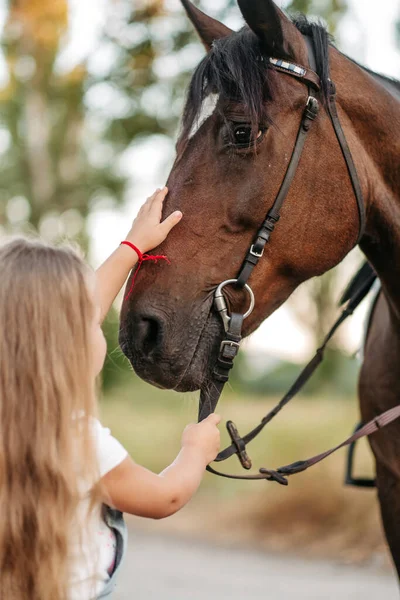 Emocjonalny Kontakt Koniem Jazda Konna Dziewczyna Jeździ Koniu Latem — Zdjęcie stockowe