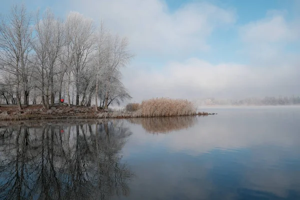 秋の朝の風景 霧の中で湖の上の日の出 冬の初め 木や草の上のイクラ 珍しい自然現象 霜と日の出 — ストック写真