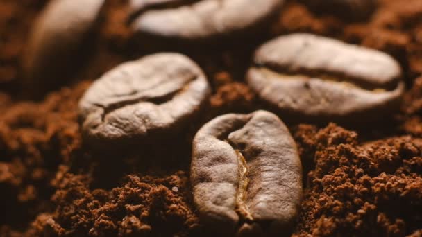 Geröstete Kaffeebohnen Liegen Gemahlenem Kaffee Aromatischer Röstkaffee Nahaufnahme — Stockvideo