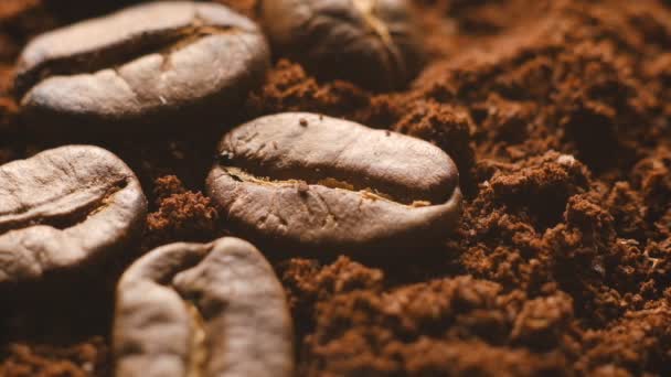 Kavrulmuş Kahve Çekirdekleri Öğütülmüş Kahvenin Içinde Yatıyor Aromatik Kavrulmuş Kahve — Stok video