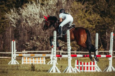 Bir kadın jokey, atlı spor, yarışmalarda atlama yer aldığı.