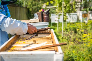 Arıcı kovan denetler