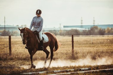 Genç bayan sporcu ata biniyor. Baharda sahada atlama eğitimi. At biniciliği. Sporda cinsiyet eşitliği.