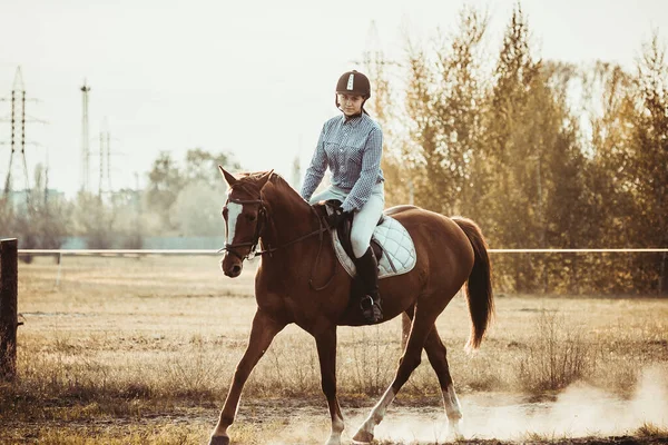 Una Joven Atleta Monta Caballo Entrenamiento Salto Primavera Campo Montar — Foto de Stock