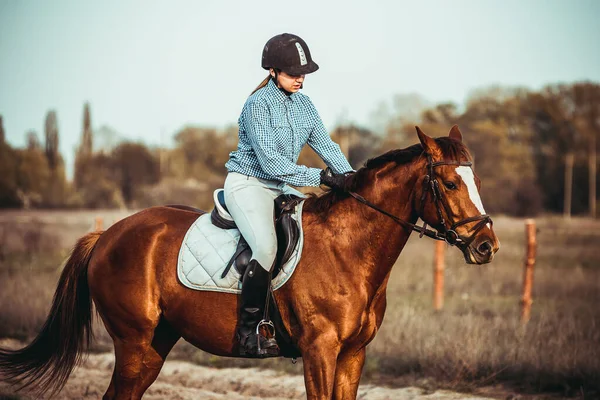 Jovem Atleta Monta Cavalo Treino Salto Primavera Campo Passeios Cavalo — Fotografia de Stock