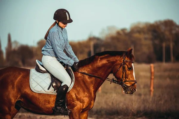 Jonge Vrouw Atleet Rijdt Een Paard Sprong Training Het Voorjaar — Stockfoto