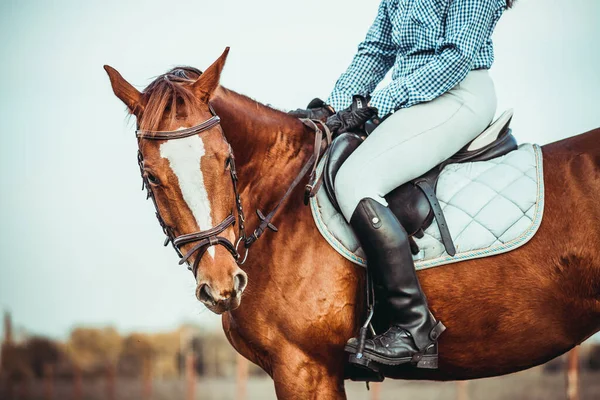 Jovem Atleta Monta Cavalo Treino Salto Primavera Campo Passeios Cavalo — Fotografia de Stock