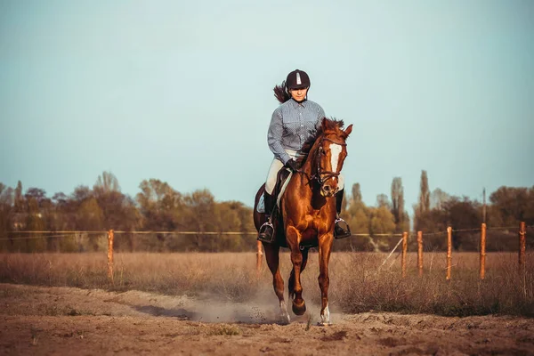 Vacker Ung Kvinna Som Rider Häst Svart Hjälm Och Stövlar — Stockfoto