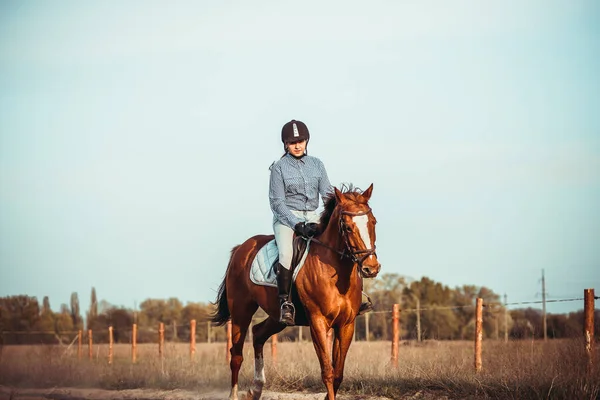 Una Hermosa Joven Montando Caballo Casco Negro Botas —  Fotos de Stock