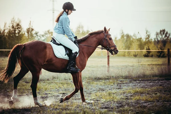 Eine Schöne Junge Frau Auf Einem Pferd Mit Schwarzem Helm — Stockfoto